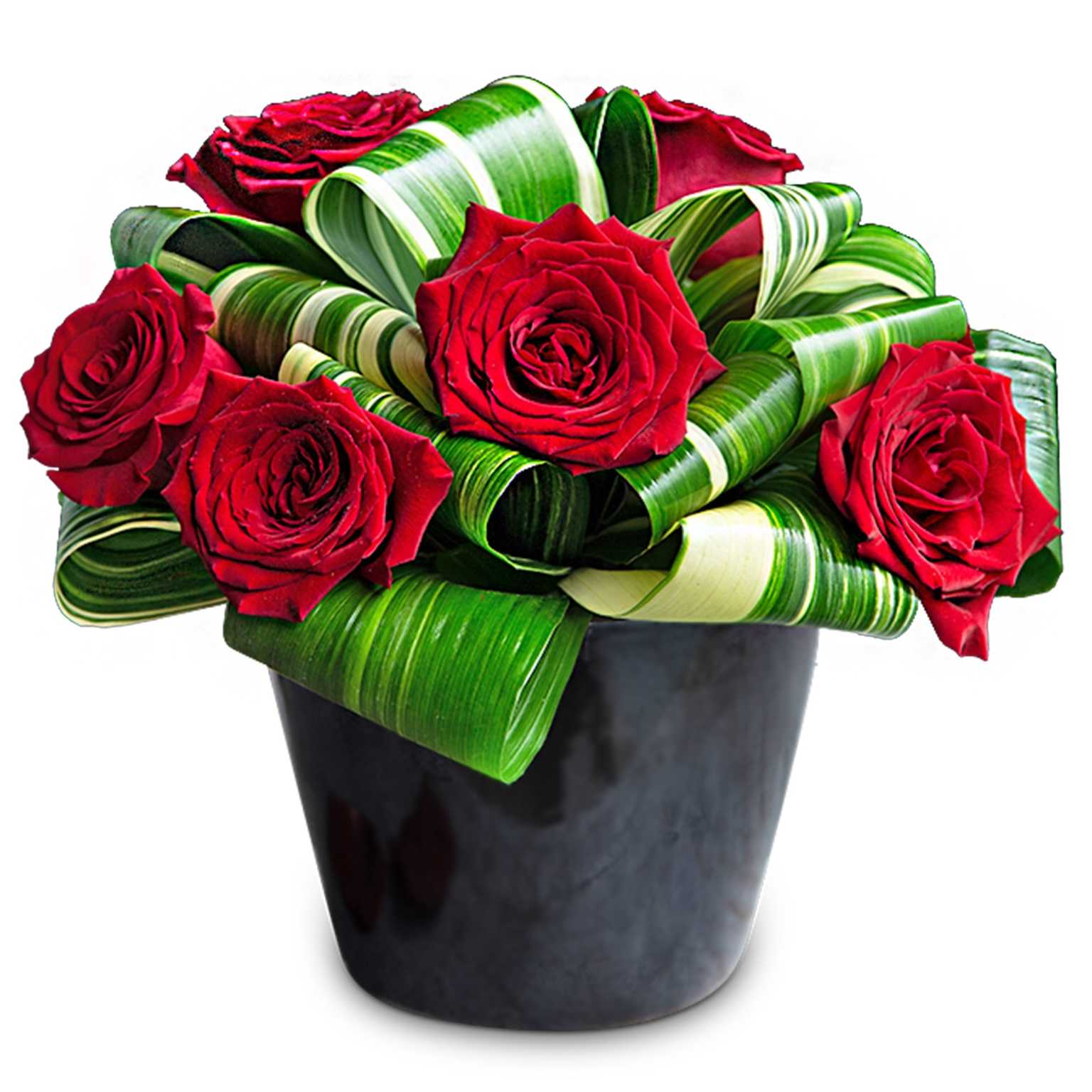 Florists Matthews NC 28105 Buy Flowers