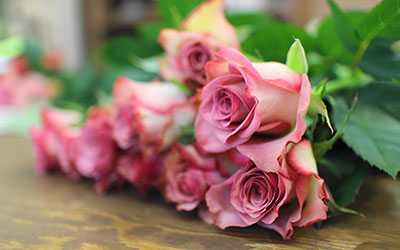flower shop woodstock il