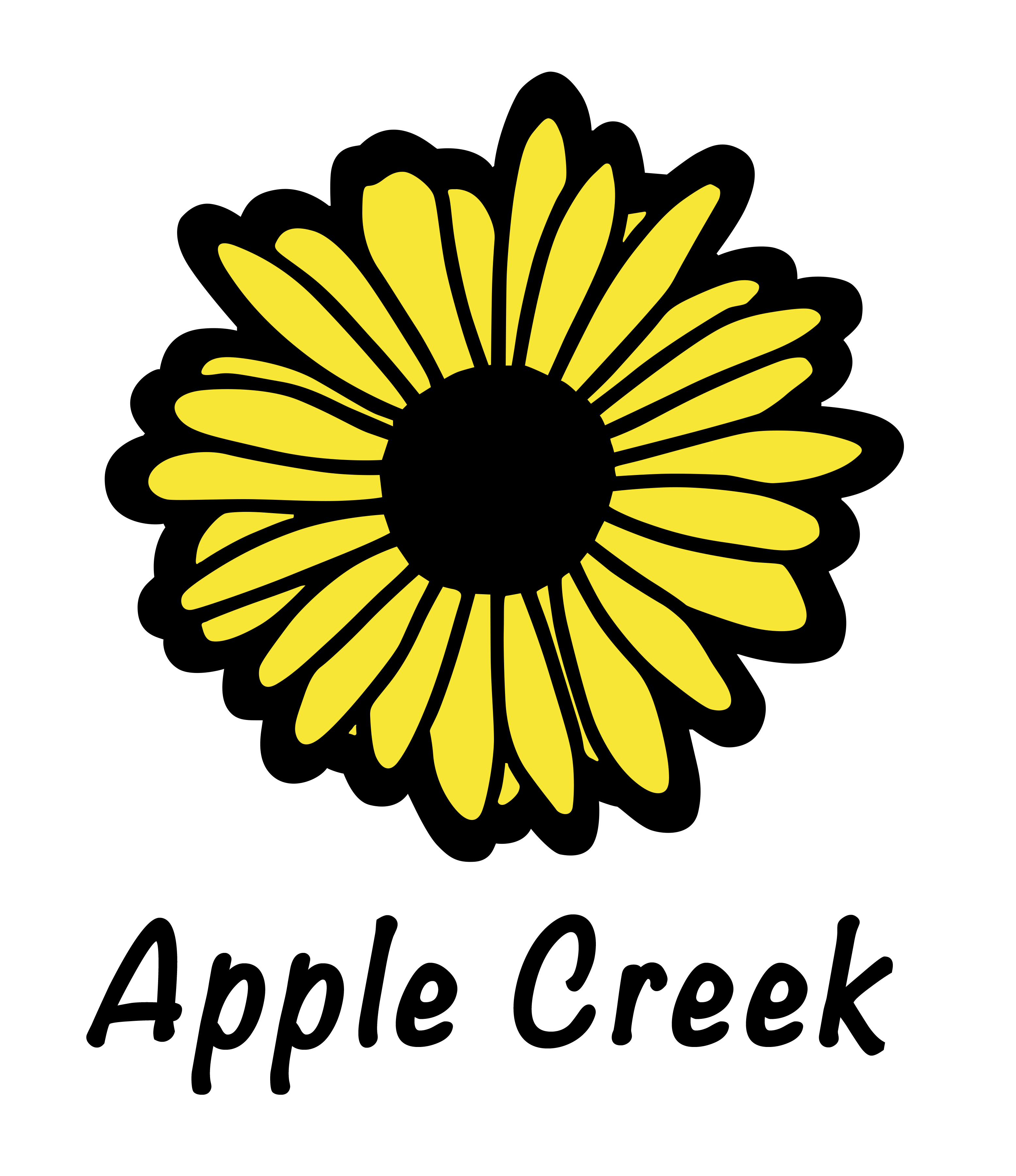 florists woodstock il